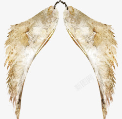 美丽的天使翅膀素材