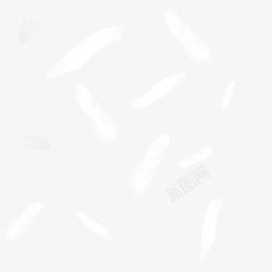 PS高清唯美羽毛透明PSD影楼婚纱照后期羽毛PS高素材