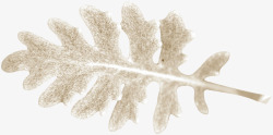 冬季雪人植物花卉装饰图案手账影楼照80冬季雪人植物素材