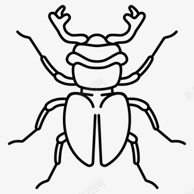 鹿甲虫昆虫野生动物图标