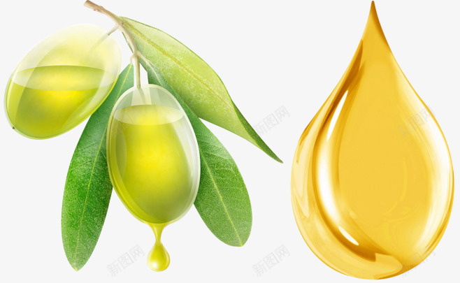 橄榄油6橄榄油png免抠素材_新图网 https://ixintu.com 橄榄油