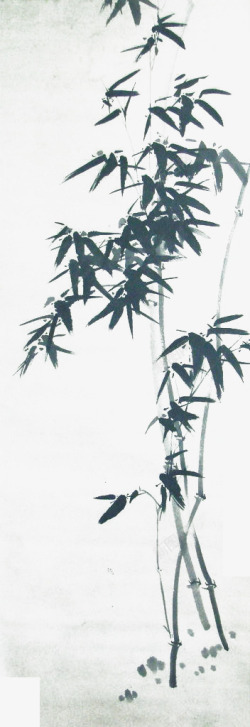 中国风水墨竹子古风竹叶竹林水彩手绘插画免扣PS设计素材