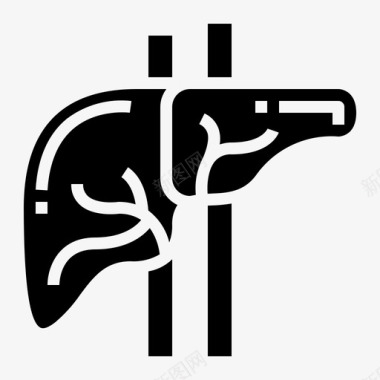 肝脏解剖人体器官实体图标