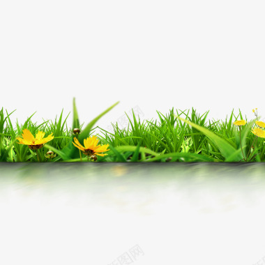 春天植物花卉透明底图绿色PNS透明底图标