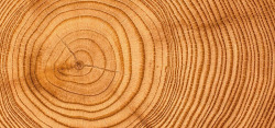 木头纹怀旧木头木桩纹理木纹家具淘宝海报banner质感纹高清图片