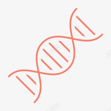 dna基因基因组图标