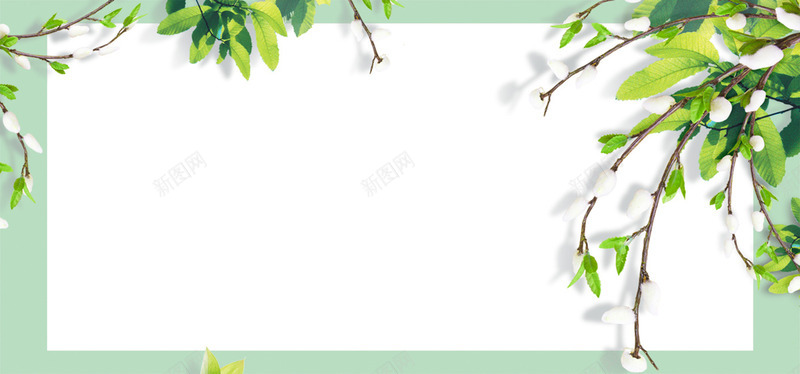 自然植物花朵白色简约小清新人文叶子高清咖啡厅意境女jpg设计背景_新图网 https://ixintu.com 自然 植物 花朵 白色 简约 清新 人文 叶子 高清 咖啡厅 意境