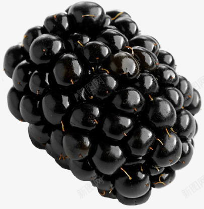 黑莓图水果食物黑莓黑莓图水果食物png免抠素材_新图网 https://ixintu.com 莓图 水果 食物 莓黑