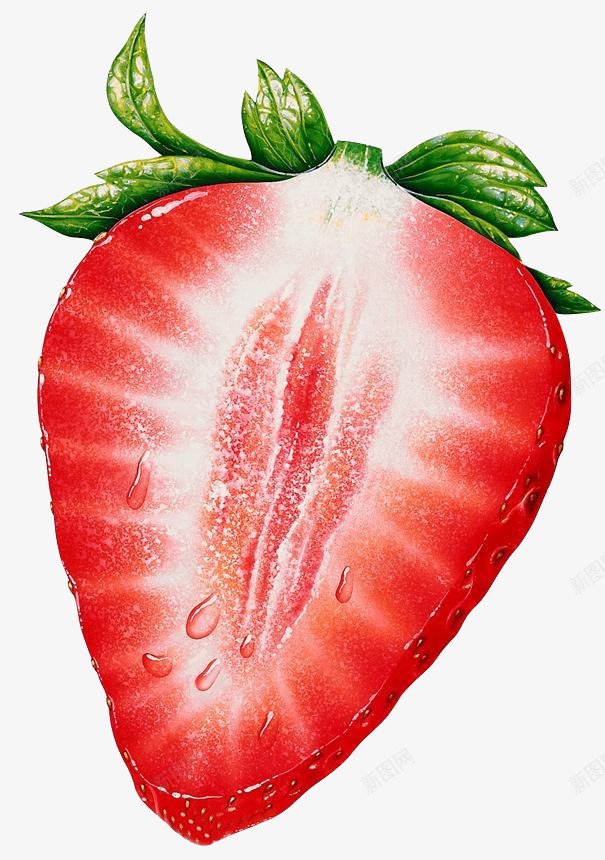 草莓水果植物png免抠素材_新图网 https://ixintu.com 草莓 水果 植物