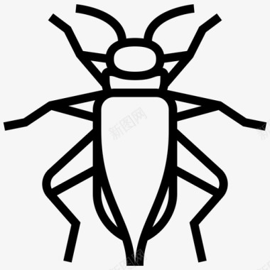 蟋蟀昆虫无脊椎动物图标