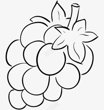 葡萄水果健康饮食图标