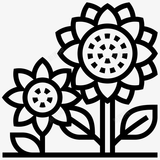 向日葵花植物svg_新图网 https://ixintu.com 向日葵 向日 葵花 植物 夏季花 季花