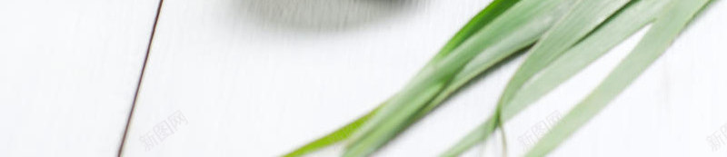 粽子食品绿色传统室内食物天然节日端午粽子中国美味无jpg设计背景_新图网 https://ixintu.com 粽子 食品 绿色 传统 室内 食物 天然 节日 端午 中国 美味