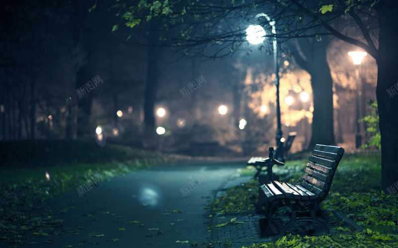 公园夜景路灯板凳虚化风景自然自然jpg设计背景_新图网 https://ixintu.com 自然 公园 夜景 路灯 板凳 虚化 风景