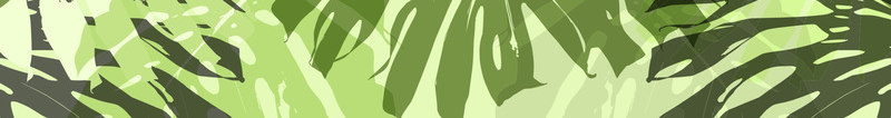 纯图植物鲜花树叶矢量图库服装图案设计时装设计图案高jpg设计背景_新图网 https://ixintu.com 图案 设计 纯图 植物 鲜花 树叶 矢量 矢量图 图库 服装 时装