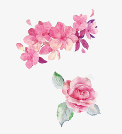 清新唯美粉色玫瑰花与桃花收藏清新唯美粉色玫瑰花与桃素材