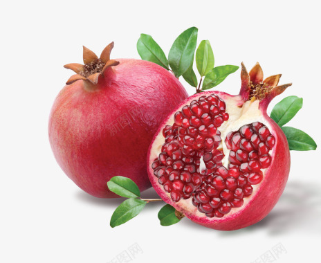 Pomegranate红石榴图标