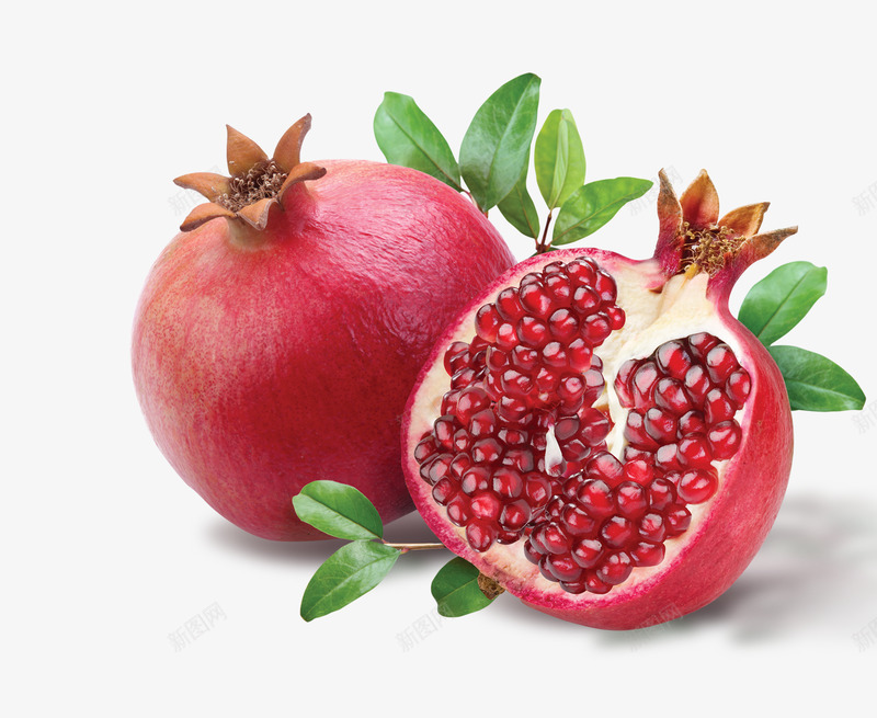 Pomegranate红石榴png_新图网 https://ixintu.com 红石 石榴