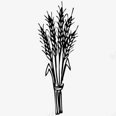 小麦秋季手绘图标