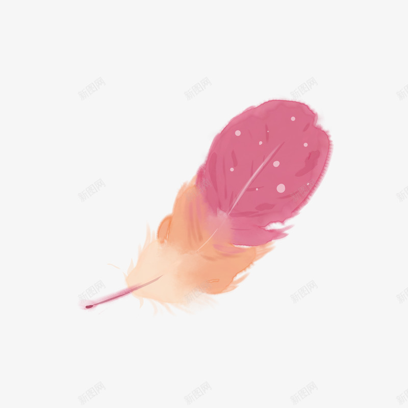 唯美透明免扣彩色羽毛手绘创意艺术png免抠素材_新图网 https://ixintu.com 羽毛 唯美 透明 免扣 彩色 卡通 手绘 创意 艺术 漂浮 动物