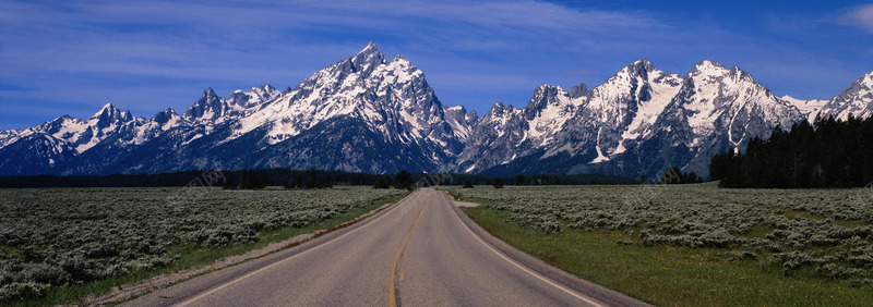 风景风光摄影树林自然风景摄影自然景观摄影摄影自然景背景