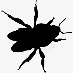 各类动物昆虫黑白剪影AI矢量图案图标合集33素材