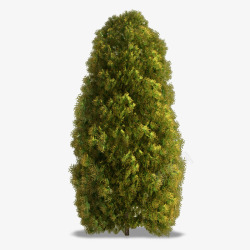 植物草绿叶大树叶子绿色植物盆栽QQ群6168691素材