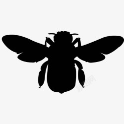 各类动物昆虫黑白剪影AI矢量图案图标合集358素材