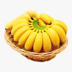 10斤寻味君广西香蕉小米蕉10斤带箱新鲜水果京东生鲜价格高清图片