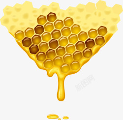 蜂蜜3素材