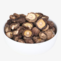 香菇2素材