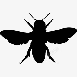 各类动物昆虫黑白剪影AI矢量图案图标合集74素材