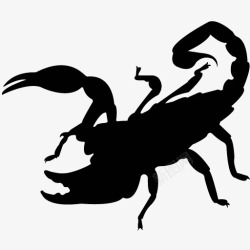 各类动物昆虫黑白剪影AI矢量图案图标合集38素材