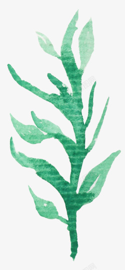 手绘水彩森系植物花卉火烈鸟贺卡装饰图案手账幅34素材
