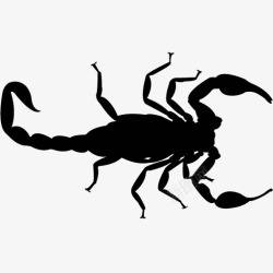 各类动物昆虫黑白剪影AI矢量图案图标合集42素材