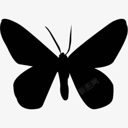各类动物昆虫黑白剪影AI矢量图案图标合集430素材