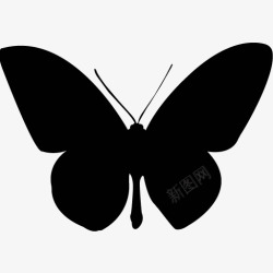 各类动物昆虫黑白剪影AI矢量图案图标合集143素材