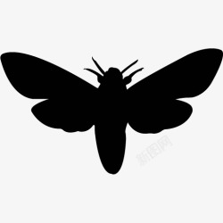 各类动物昆虫黑白剪影AI矢量图案图标合集22素材