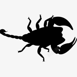各类动物昆虫黑白剪影AI矢量图案图标合集425素材
