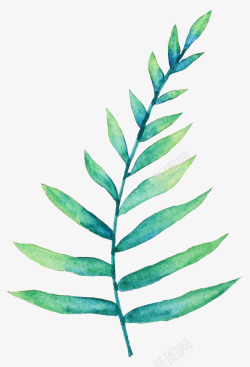 手绘水彩森系植物花卉火烈鸟贺卡装饰图案手账幅35素材