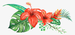 手绘水彩森系植物花卉火烈鸟贺卡装饰图案手账幅5素材