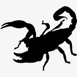各类动物昆虫黑白剪影AI矢量图案图标合集424素材