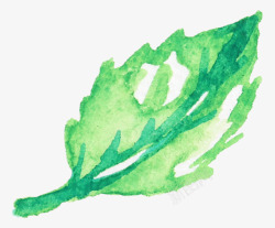 手绘水彩森系植物花卉火烈鸟贺卡装饰图案手账幅62素材