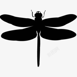 各类动物昆虫黑白剪影AI矢量图案图标合集355素材