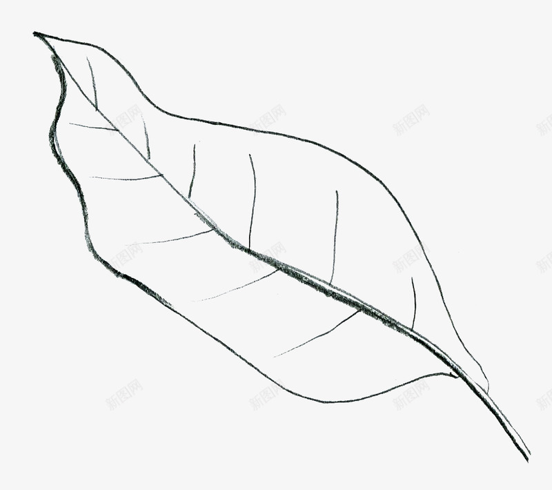 水彩金箔花卉请柬卡片婚礼海报装饰分层模板透明图案Ppng免抠素材_新图网 https://ixintu.com 水彩 金箔 花卉 请柬 卡片 婚礼 海报 装饰 分层 模板 透明