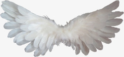 白天使翅膀羽毛天堂天使的翅膀宗教符号灵性精神素材