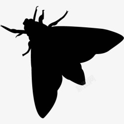 各类动物昆虫黑白剪影AI矢量图案图标合集433素材