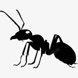 各类动物昆虫黑白剪影AI矢量图案图标合集795素材