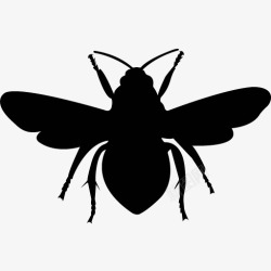 各类动物昆虫黑白剪影AI矢量图案图标合集127素材