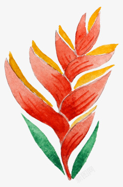 手绘水彩森系植物花卉火烈鸟贺卡装饰图案手账幅31素材